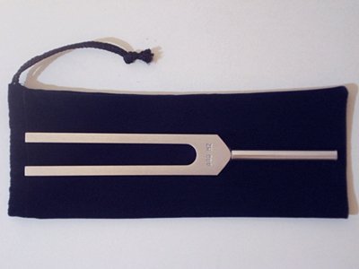 癒されると同時に、脳を刺激されるような